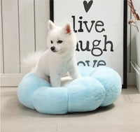 Coussin pour chien | Escale fleurie - Sérénité-Canine