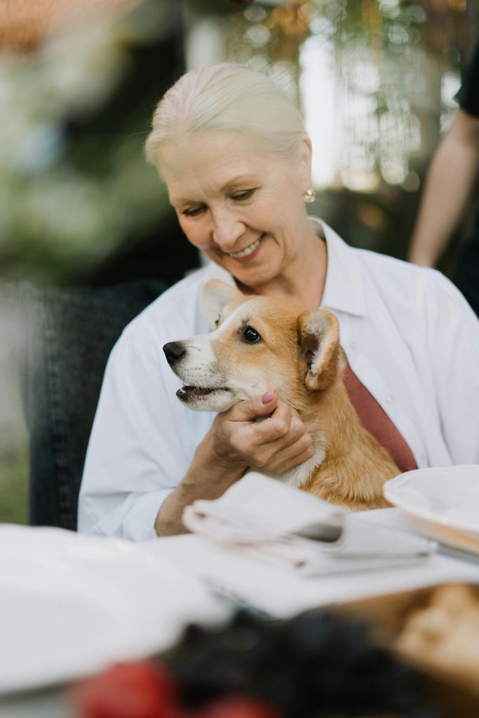 L’importance d’un bon espace de repos pour les chiens âgés