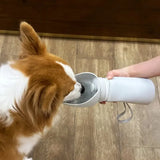 Gourde pour chien pliable