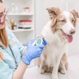 Lime ongle électrique pour chien