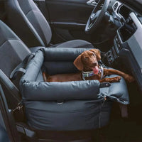 Siège auto de luxe extensible pour chien