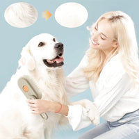 Brosse à vapeur électrique pour chiens - Sérénité-Canine