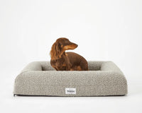 Canapé raffiné pour chien - Coussin pour chien