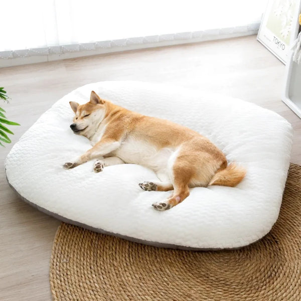 Coussin apaisant pour chien - 