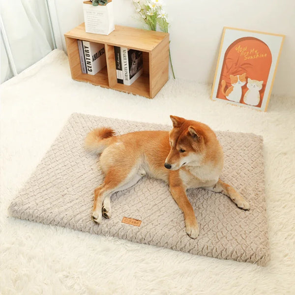 Coussin-Matelas en coton pour chien - Sérénité-Canine