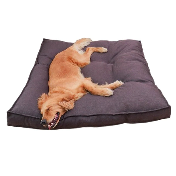 Coussin pour chien - Coussin pour chien