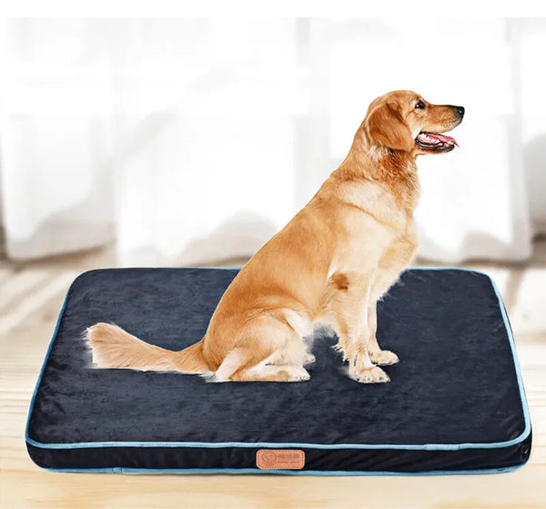 Coussin rembourré orthopédique pour chien - Sérénité-Canine