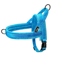 Harnais anti traction pour chien - Sérénité-Canine