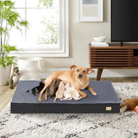 Matelas orthopédique pour chien | Repos Royal - Sérénité-Canine