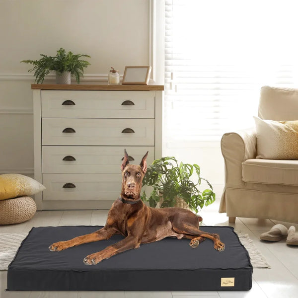 Matelas orthopédique pour chien | Repos Royal - Sérénité-Canine