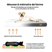 Matelas traversin orthopédique pour chien - Sérénité-Canine