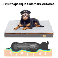 Traversin orthopédique pour chien - Sérénité-Canine